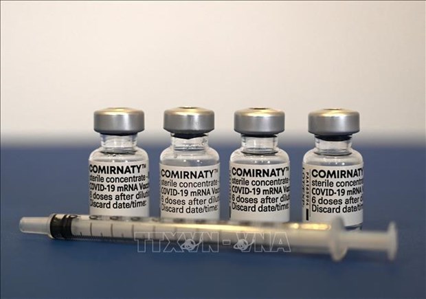 Le ministere de la Sante donne son accord pour le vaccin Pfizer/BioNTech hinh anh 1