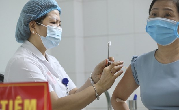 Coronavirus : le Vietnam "va s’en sortir", selon The Diplomat hinh anh 1