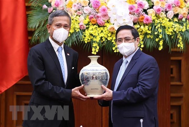 Le Vietnam salue l'initiative singapourienne de reconnaissance mutuelle de la vaccination hinh anh 1
