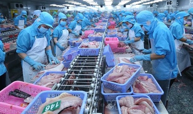 Antidumping : un resultat encourageant pour les poissons pangasius vietnamiens aux Etats-Unis hinh anh 1
