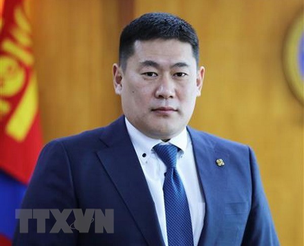 Le leader Nguyen Phu Trong felicite le chef du Parti du peuple mongol hinh anh 1