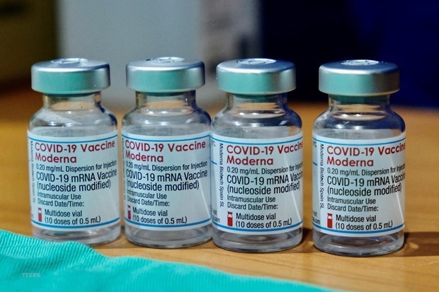 Le Vietnam appelle a promouvoir l'echange d'informations sur les vaccins anti-COVID-19 hinh anh 1