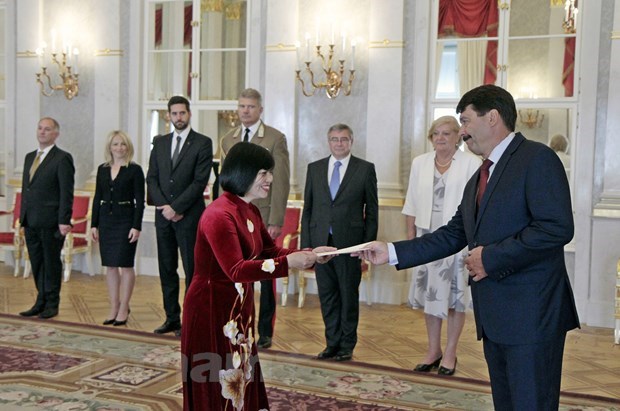 Le president hongrois felicite le Vietnam pour ses realisations en matiere de developpement hinh anh 1