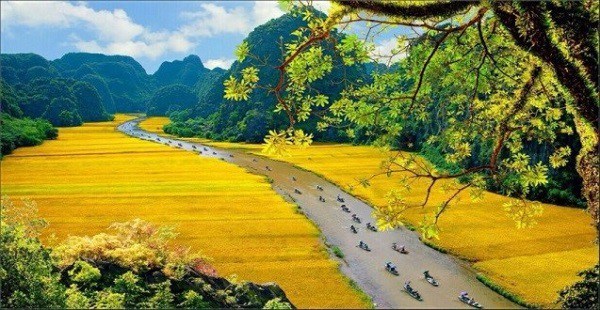 Les dix destinations incontournables a decouvrir au Vietnam hinh anh 7