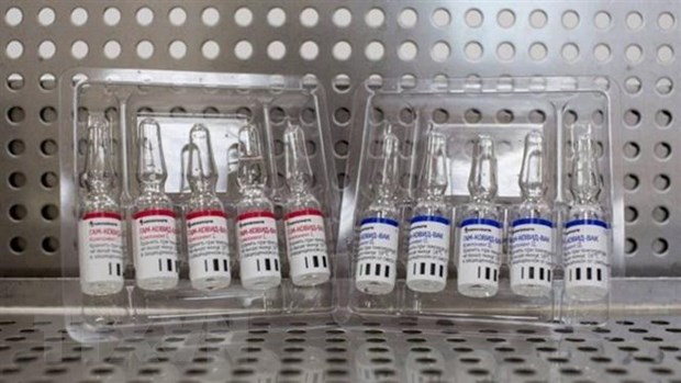 Le gouvernement accepte de negocier pour acheter 40 millions de doses du vaccin Spoutnik V hinh anh 1