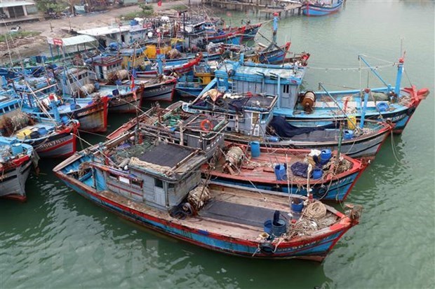 Le Vietnam demande a la Chine de ne pas compliquer la situation en Mer Orientale hinh anh 1