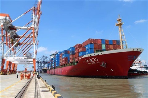 De nouvelles opportunites pour les exportations vietnamiennes hinh anh 1