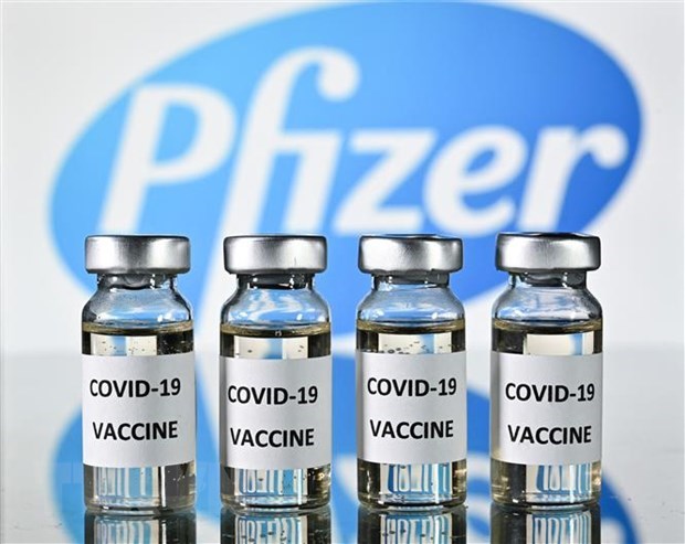 Le gouvernement autorise l’achat supplementaire de 20 millions de doses de vaccin Pfizer hinh anh 1