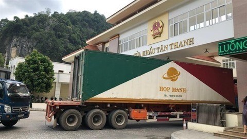 Le Vietnam a double ses exportations d’aliments pour animaux vers la Chine hinh anh 1