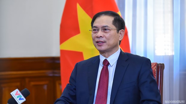 Le Parti et l’Etat s’interessent toujours a la communaute vietnamienne a l’etranger hinh anh 1