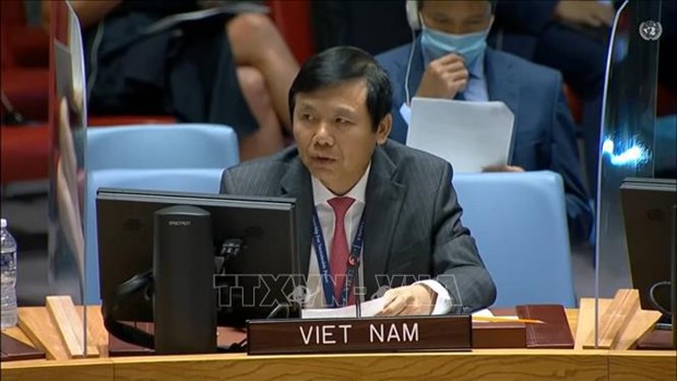 ONU : le Vietnam appelle a la securite pour les elections en Iraq hinh anh 1