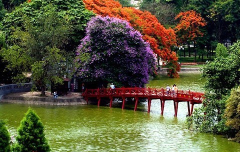 Les destinations les plus prisees des Vietnamiens selon Booking.com hinh anh 1