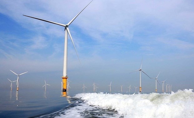 Le Vietnam dispose d’un potentiel important pour le developpement de l’eolien offshore hinh anh 1