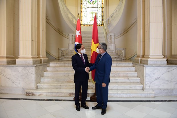 Le ministre vietnamien des AE rencontre le ministre p.i cubain des AE hinh anh 1