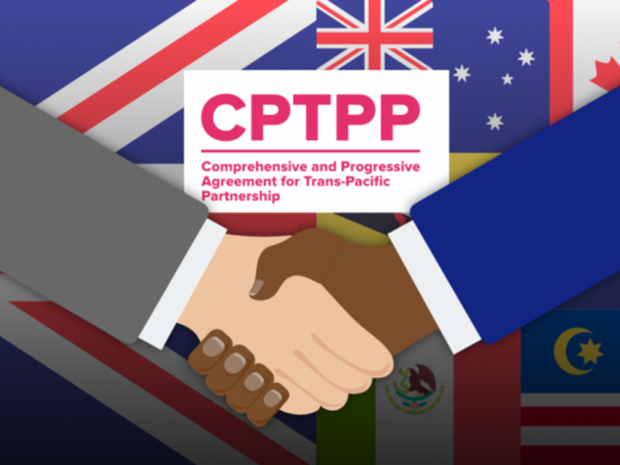 Les Etats membres du CPTPP discutent de l’adhesion du Royaume-Uni hinh anh 1