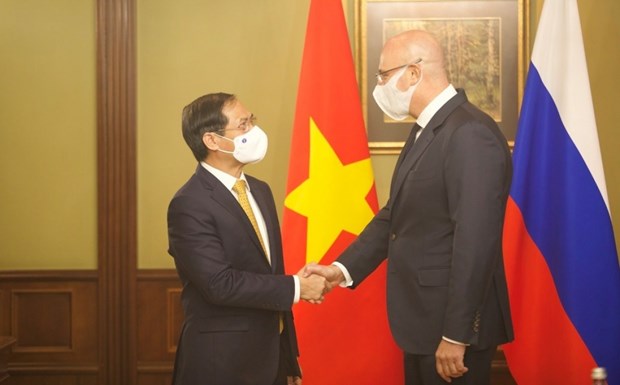 Le ministre des AE Bui Thanh Son rencontre le vice-PM russe Dmitry Chernychenko hinh anh 1