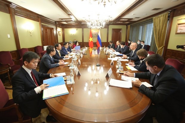 Le ministre des AE Bui Thanh Son rencontre le vice-PM russe Dmitry Chernychenko hinh anh 2