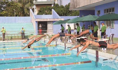 La natation vietnamienne continue sa quete de coach etranger hinh anh 1
