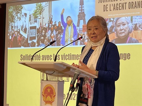 "Courage, patience et espoir", Collectif Vietnam Dioxine poursuit sa lutte hinh anh 2