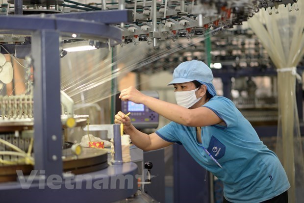 Des experts etrangers soulignent les atouts de la production du Vietnam hinh anh 1