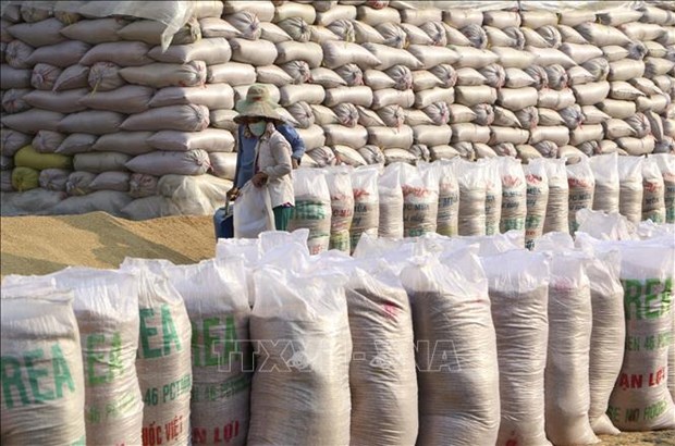 Plus de 136.000 tonnes de riz allouees aux localites affectees par la pandemie de Covid-19 hinh anh 1