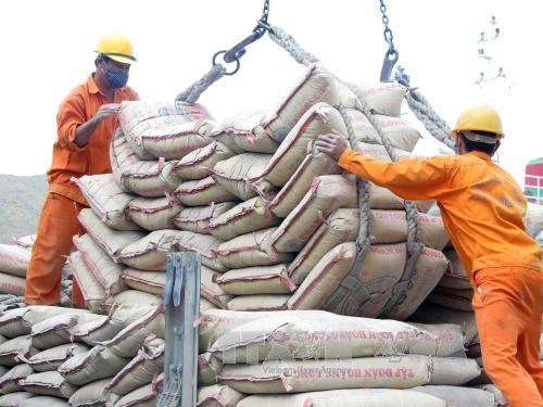 Les exportations vietnamiennes de ciment et clinker continuent a croitre hinh anh 1