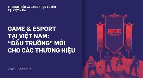 Vero et Decision Lab publient un Livre Blanc sur le marche de l’e-sport au Vietnam hinh anh 1