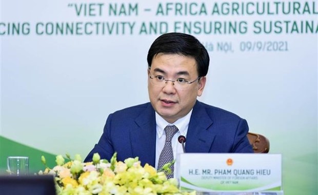 Le Vietnam souhaite promouvoir sa cooperation avec les pays africains hinh anh 2