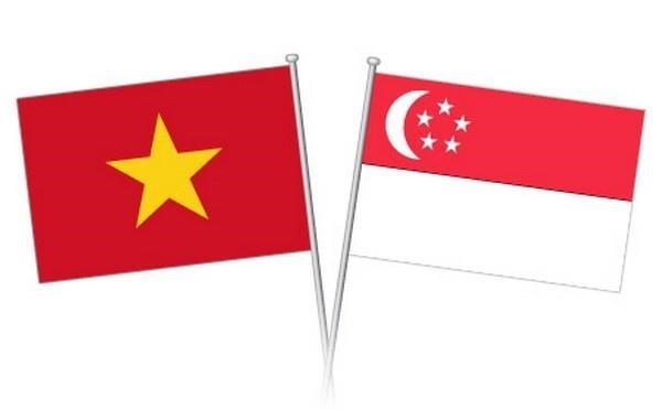 La 14e Consultation politique Vietnam – Singapour hinh anh 1