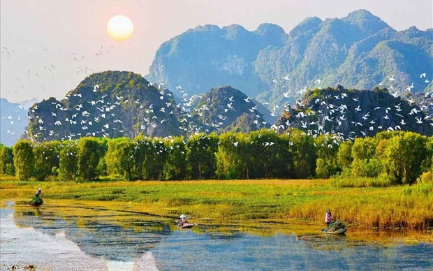 Des solutions pour restaurer les ecosystemes au Vietnam hinh anh 1
