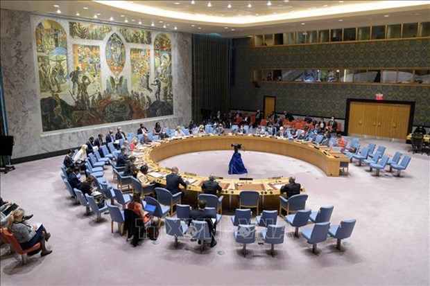 Le VN appelle a prioriser d’urgence des ressources pour tenue des elections legislatives en Somalie hinh anh 1