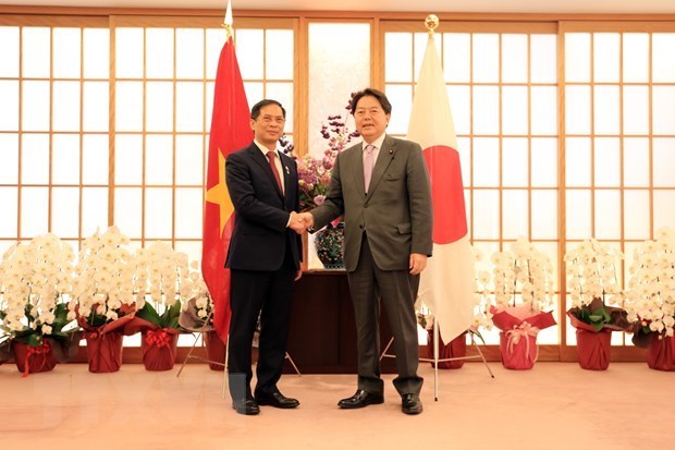 Le Vietnam considere toujours le Japon comme un partenaire strategique de premier rang hinh anh 1