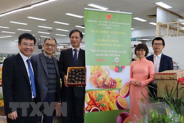 Le Vietnam exporte ses premiers fruits de la passion vers l’Australie hinh anh 1