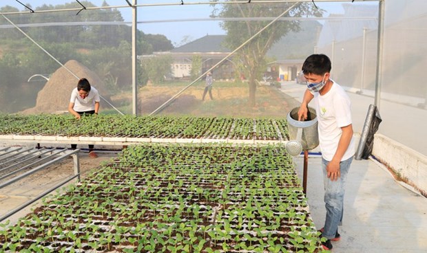 Agriculture intelligente : Hanoi se met au diapason hinh anh 2