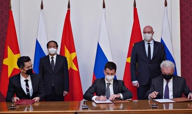 Le Vietnam et la Russie signent des accords de cooperation dans de nombreux domaines hinh anh 1