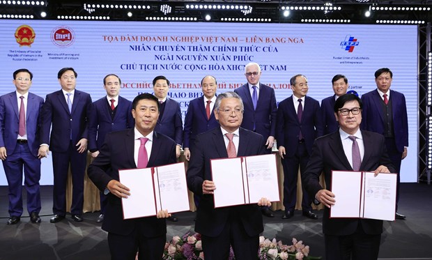 Le Vietnam et la Russie signent des accords de cooperation dans de nombreux domaines hinh anh 2