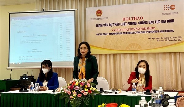 Le FNUAP soutient les efforts du Vietnam contre la violence domestique hinh anh 1