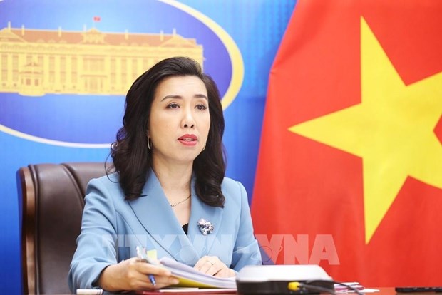 Toute entrave a l’execution de l’hymne national vietnamien est illegale hinh anh 1