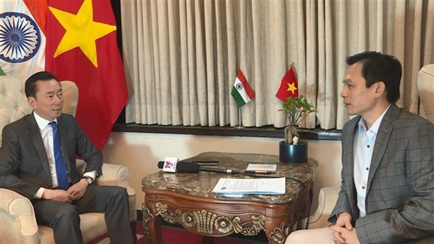 Les relations Vietnam-Inde disposent de grands potentiels hinh anh 1