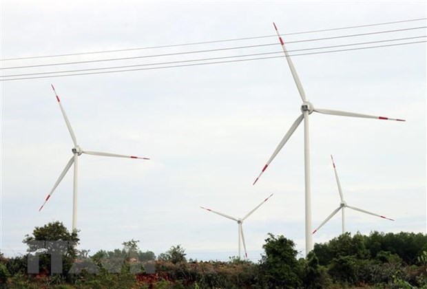 Des entreprises vietnamiennes et allemandes cooperent dans le developpement de l’energie eolienne hinh anh 1