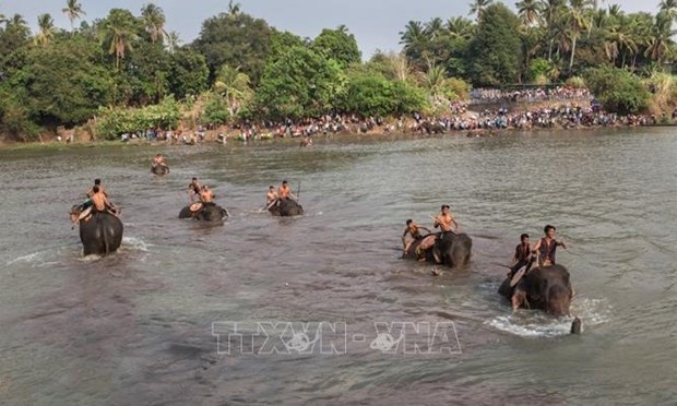 Dak Lak promeut un modele de tourisme respectueux des elephants hinh anh 2