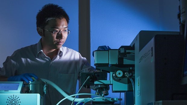 Un scientifique vietnamien en Australie a l’honneur hinh anh 1