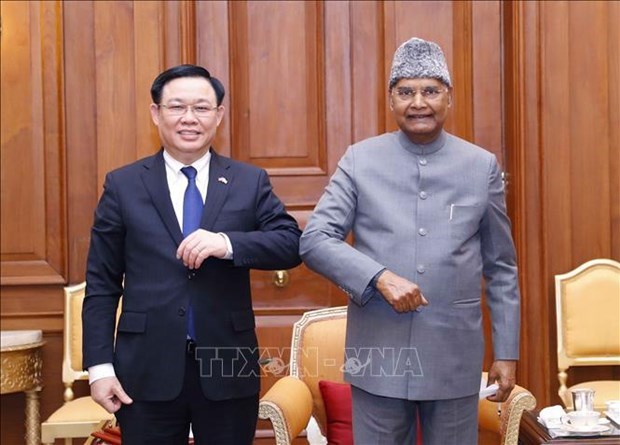 Entrevue entre le president de l’AN du Vietnam et le president indien hinh anh 1