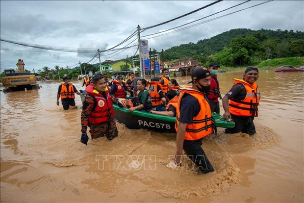 Innondations en Malaisie : message de sympathie du Vietnam hinh anh 1