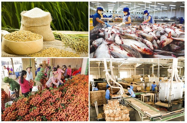 Exportation de produits agricoles: un record sans precedent hinh anh 1