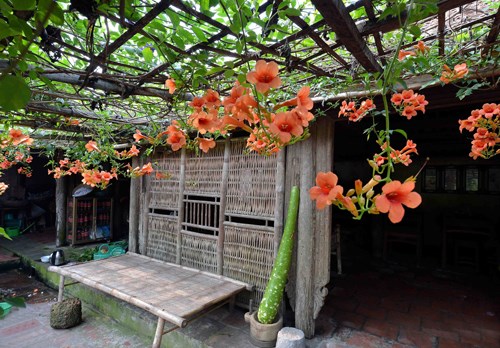 Les Hanoiens privilegient leur propre ville pour les vacances de fin d’annee hinh anh 2