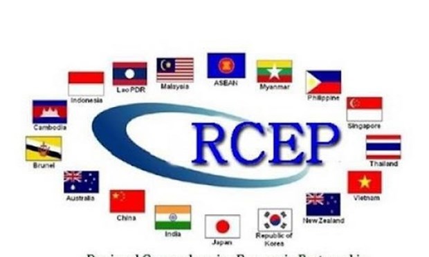 Le RCEP, le plus grand accord de libre-echange au monde, entre en vigueur hinh anh 1