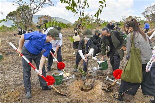 Binh Thuan plante un millier d’arbres dans la reserve naturelle de Ta Cu hinh anh 1