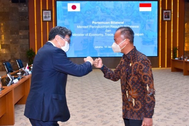 L'Indonesie appelle le Japon a investir dans des projets hydroelectriques hinh anh 1