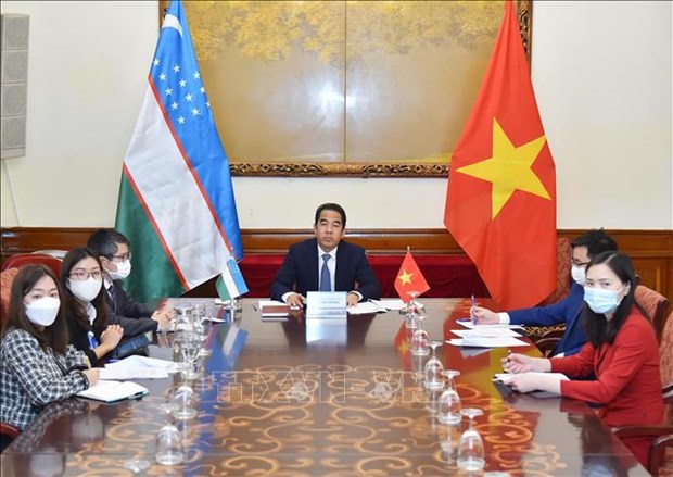 Consultation politique au niveau vice-ministeriel des AE Vietnam - Ouzbekistan hinh anh 1